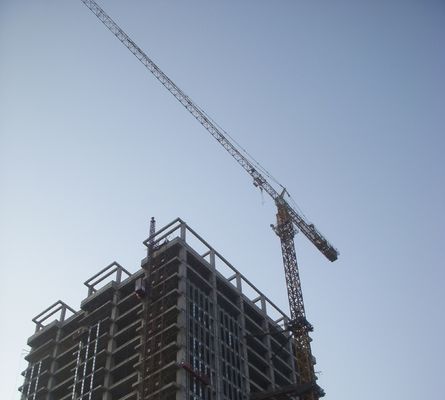 Καλή τιμή Ηλεκτρικός γερανό πύργου 50Hz αυτοκατευθυνόμενου με ανύψωση 12 τόνων σε απευθείας σύνδεση